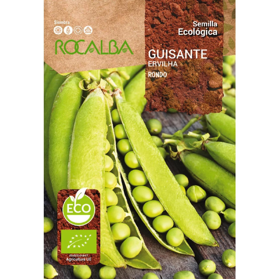 Bio zöldborsó Rondo vetőmag 30g Rocalba – korai édes velőborsó fajta