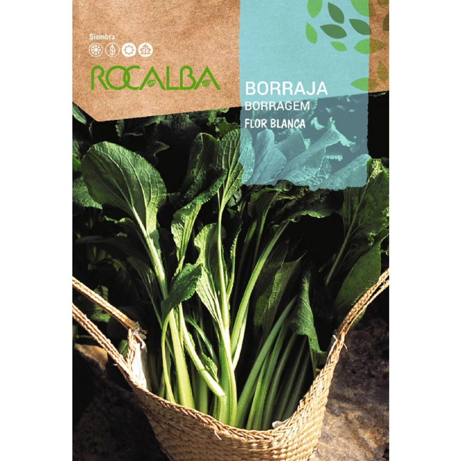 borágó flor blanca vetőmag rocalba
