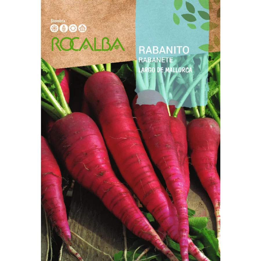 retek largo de mallorca vetőmag rocalba