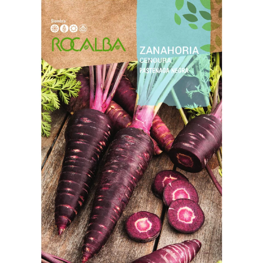 fekete sárgarépa pastenaga negra vetőmag rocalba