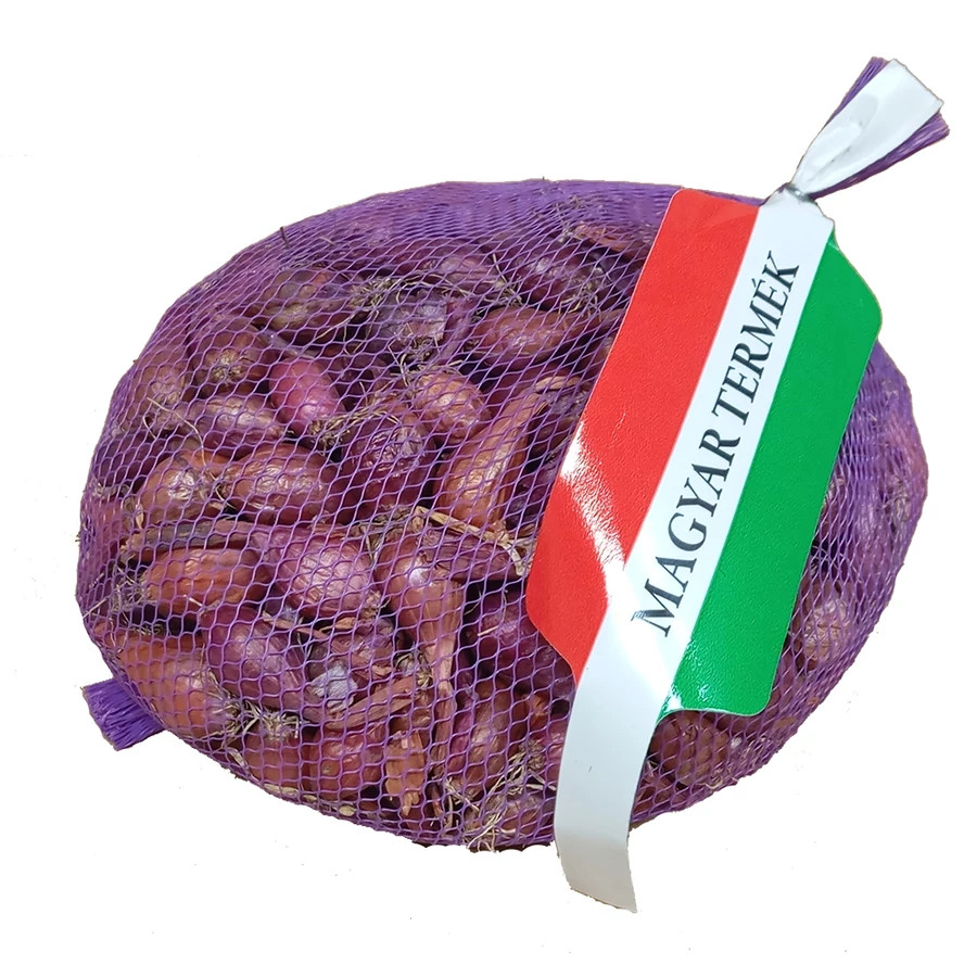 tavaszi lila dughagyma