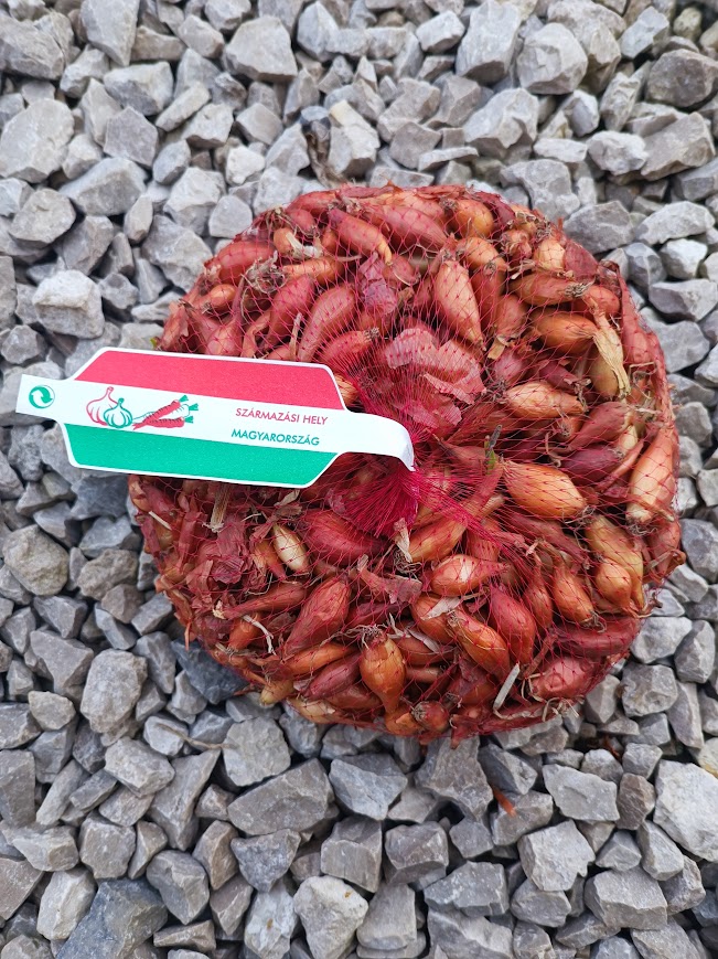 vörös dughagyma makói CR 500 g