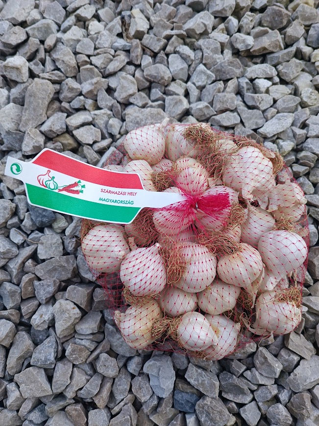 makói fokhagyma 500g - (dughagyma)