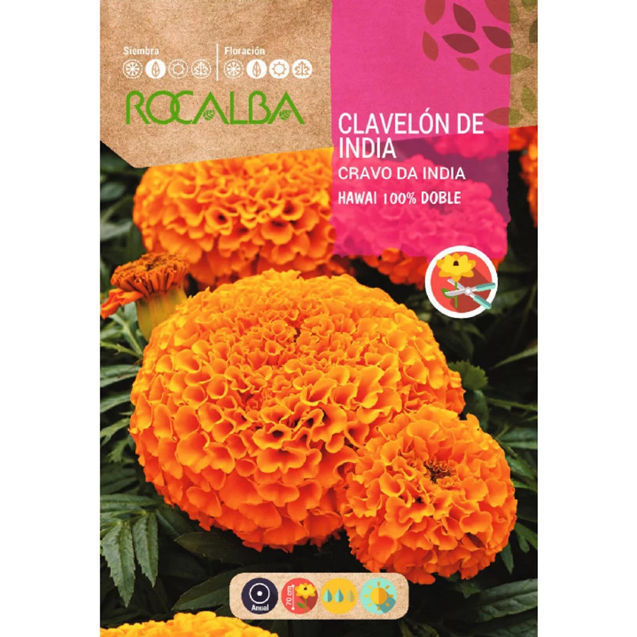 bársonyvirág cravo de india hawaii vetőmag rocalba